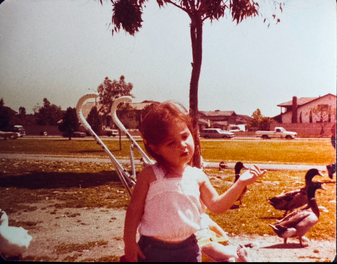 Welcome to my Journey of Healing from Betrayal & Divorce – told through my RAW Personal Journals